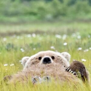 Meet your Posher, Audrey